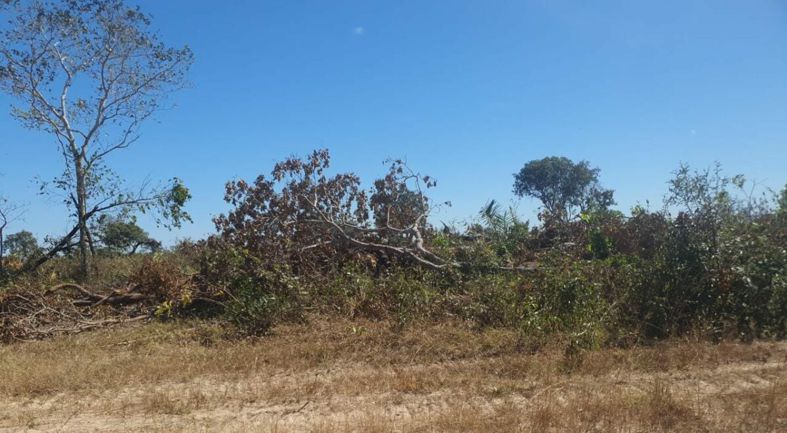 Área embargada foi na região de Cocalinho, divisa com estado de Goiás foto Sema MT